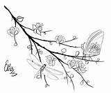 Coloring Sakura Tree Branch Designlooter Dragonfly Perching Blossom Butterfly Cherry sketch template