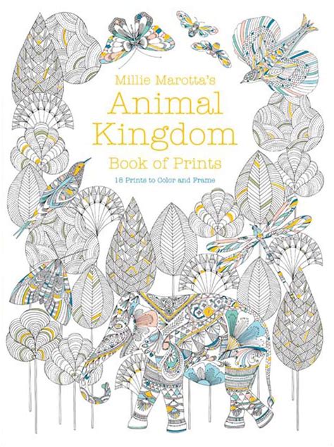 millie marotta adult coloring book millie marottas animal kingdom