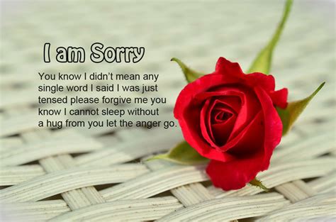 I Am Sorry Messages For Wife Sweet And Romantic Wishesmsg