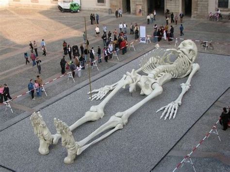 giant skeleton funnycom