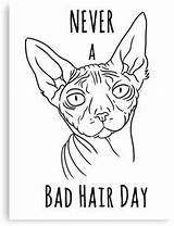 Cat Sphynx Coloring Canvas Bad Hair Never Print Pages Color Printables sketch template