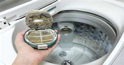 clean  washing machine filter