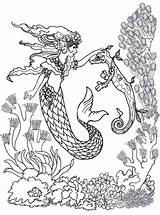 Coloring Pages Mermaid Adult Horse Seahorse Realistic Print Difficult Seahorses Majestic Colouring Mermaids sketch template