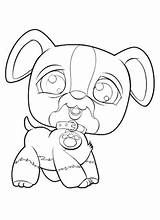 Coloring Shop Pages Pet Dog Adults Littlest sketch template