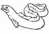 Eel Coloriage Serpent sketch template