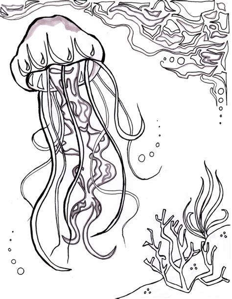 ocean coloring pages  adults ivb