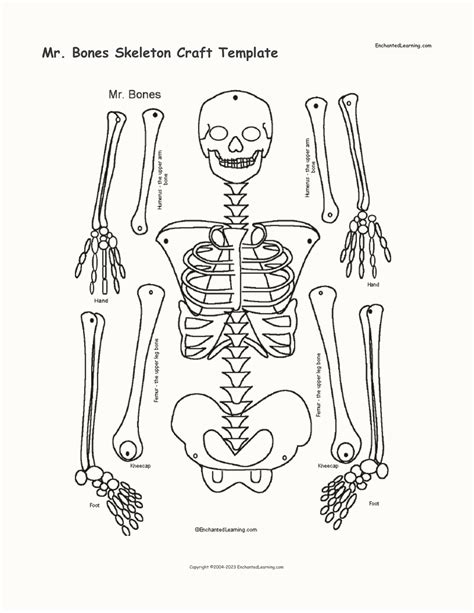 bones skeleton craft template enchanted learning