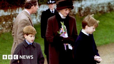 Princess Diana Princes Commission Statue 20 Years After Her Death