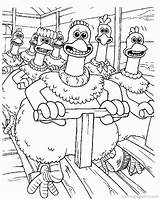 Coloring Pages Run Chicken Chickens Popular sketch template