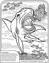 Coloring Pages Shark Kids Publications Dover Colouring Sharks Bull Dinosaur Doverpublications Sharknado Book Printable Adults Sheets Sheet Info Animal Color sketch template