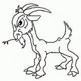 Colorir Desenhos Bode Cabras Cabra Troll Goats sketch template