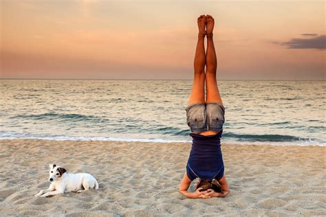 Fun Ways To Feel Good 10 Benefits Of Daily Headstands The Body Camp