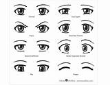 Eyebrows Expressions sketch template