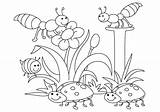 Spring Beetles Hello Pages Coloring Bees sketch template