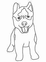 Husky Puppy Shepherd Pitbull Coloringhome sketch template