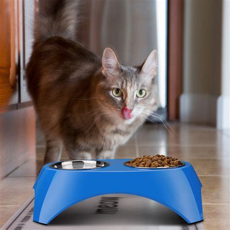 Flexzion Pet Feeder Bowls Double Stainless Steel Removable