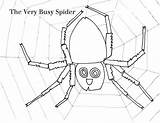 Spider Busy Very Coloring Web Carle Eric Working Pages Worksheet Sequencing Activities Color Worksheeto Size Via Getdrawings Drawing Print sketch template