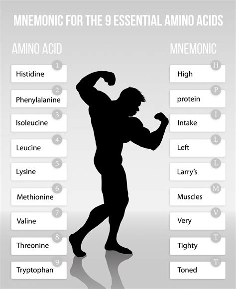mnemonic  remember  essential amino acids food science toolbox