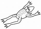 Kikker Frosch Ausmalbilder Sapos Ranas Frog Malvorlagen Dieren Colorare Rana Ausmalbild Grenouille Coloriages Sapo Kodok Katak Mewarnai Animaux Animada Animasi sketch template