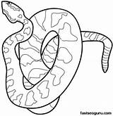Snake Dangerous Animal Coloring Printable Print sketch template