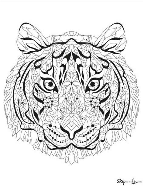 tiger coloring pages skip   lou