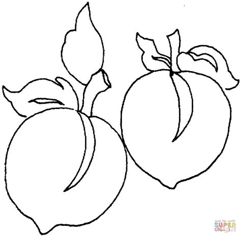 peach  super coloring coloring pages  coloring pages