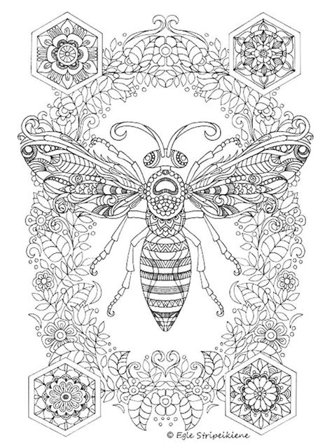 insect coloring pages adult coloring book pages printable coloring