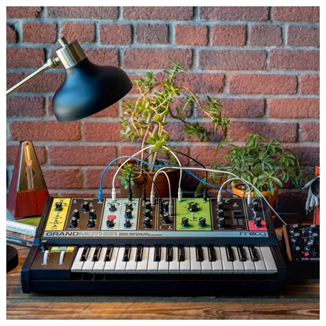 moog grandmother semi modular analog synthesizer    gearmusic