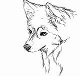 Husky Coloring Pages Printable Siberian Dog Sheets Print Color Getcolorings Getdrawings sketch template