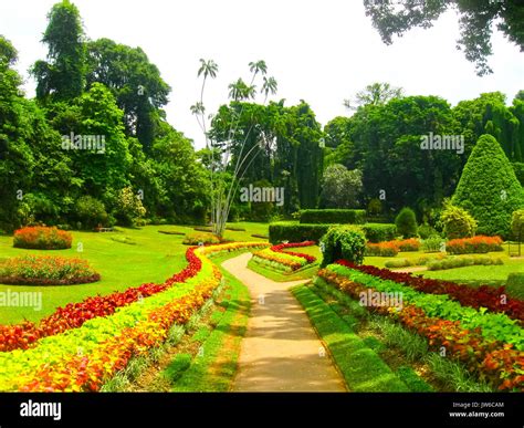royal botanical garden peradeniya sri lanka stock photo alamy