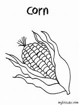 Corn Coloring Template Drawing Stalk Stalks Indian Getdrawings Getcolorings Popular sketch template