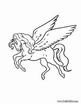 Pegasus Coloring Pages Drawing Flying Unicorn Medusa Print Party Color Birthday Horse Printable Go Getdrawings Head Paintingvalley Library Clipart Choose sketch template