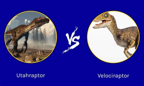 utahraptor  velociraptor   win   fight imp world