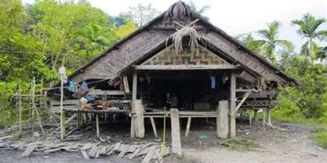 rumah adat mentawai menggambarkan sejarah sosial mentawai kaskus
