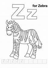 Zebra Dibujosonline sketch template