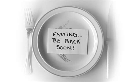 incorporate intermittent fasting   life   alpha