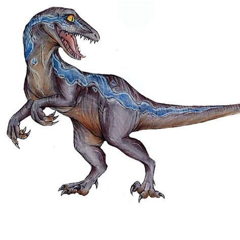 Some Quick Fan Art Of Blue From Jurassic World Jurassic World
