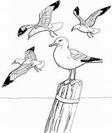 Coloring Seagull Pages Seagulls Dessin Ausmalbilder Printable Drawings Flying Drawing Coloriage Supercoloring Tattoo Vögel Tiere Mouette Para Adult Gaviotas Bird sketch template