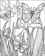 Dover Publications Samples Adultos Haven Insect Tsgos Adulte Jardim Kleurplaat Wings Romero Britto Obras sketch template