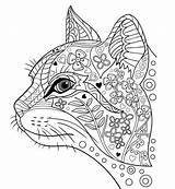 Kleurplaten Kleurplaat Dieren Volwassenen Mindfulness Katten Printen sketch template