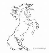 Horse Rearing Horses Lineart Draw Coloring Drawings Pages Drawing Line Deviantart Bucking Sketch Color Print Printable Google Getcolorings Hoeses Cartoon sketch template