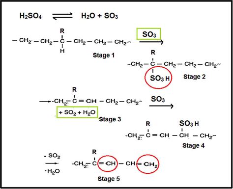 reaction mechanism  sulfuric acid  polyethylene introducing  scientific