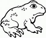 Toad Coloring Pages Printable Cane Kids Frog Toads Gif Color Captain Search Print Google Template Sheet Bestcoloringpagesforkids Clipart Designlooter Photobucket sketch template