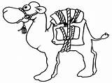 Coloring Pages Camel Camels Popular sketch template