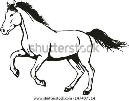 horse draw stock images royalty  images vectors shutterstock
