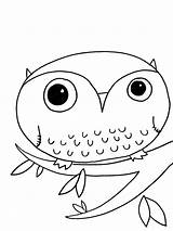 Owl Owls Sowa Colorir Coruja Kolorowanki Chouette Dzieci Coloriage Adults Hibou Drôle Petit Wydrukowania Raskrasil sketch template