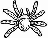 Spider Coloring Pages Tarantula Kids Spin Spiders Kleurplaat Colouring Color Peuters Animals Easy Printable Bestcoloringpagesforkids Sheets Supercoloring sketch template