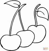 Coloring Pages Cherries Cherry sketch template