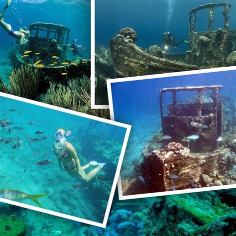 curacao  diving paradise