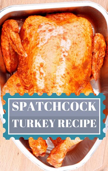 rachael cider soaked spatchcock turkey recipe with